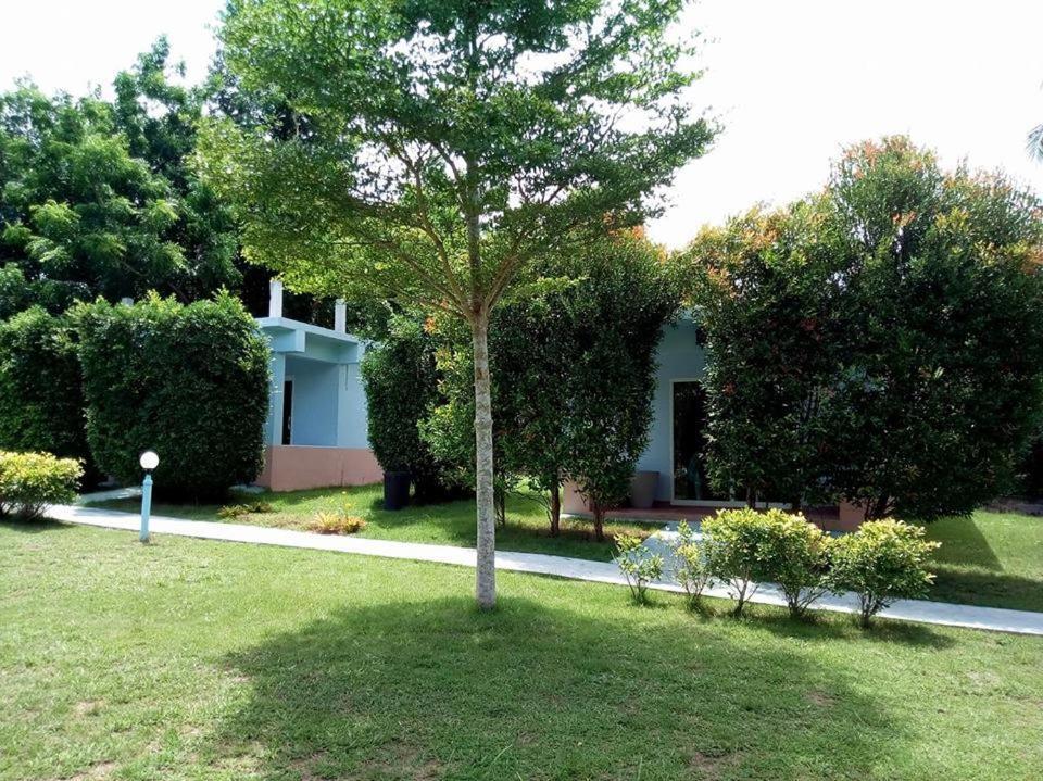 Atmyhomestay Bangsaphan Банґсапхан Екстер'єр фото